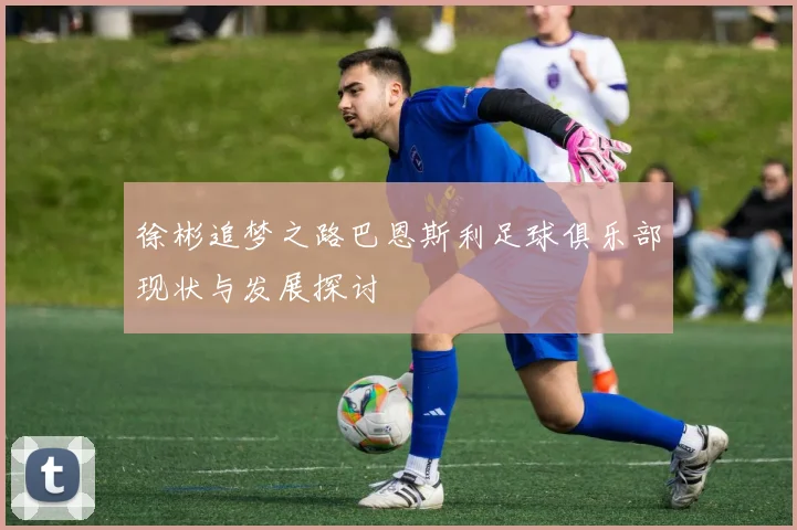 徐彬追梦之路巴恩斯利足球俱乐部现状与发展探讨