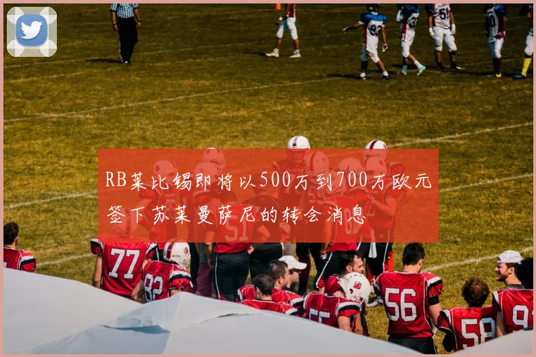 RB莱比锡即将以500万到700万欧元签下苏莱曼萨尼的转会消息